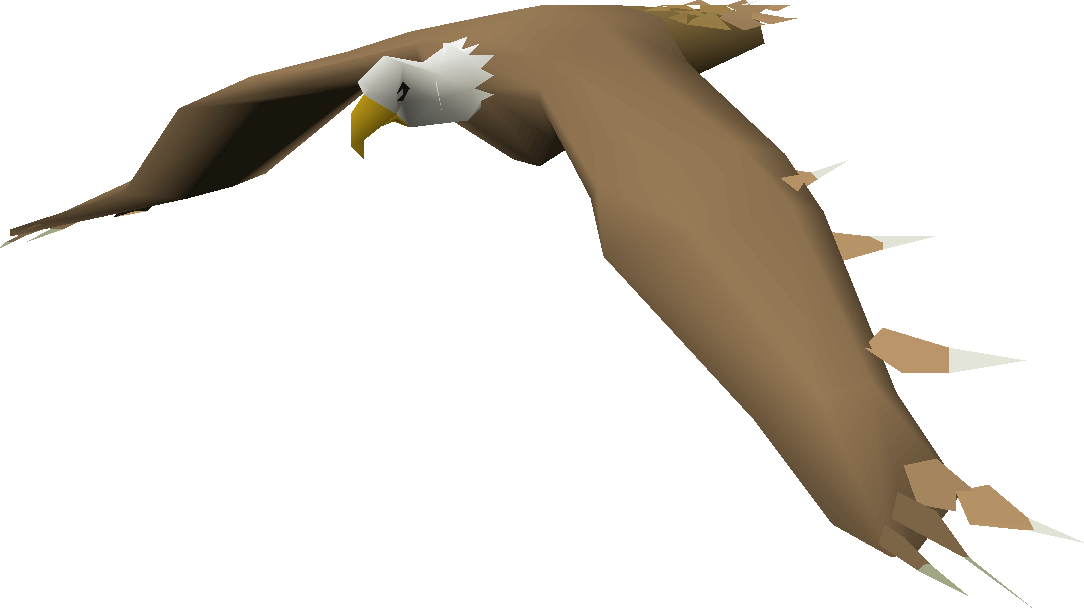 Bald Headed Eagle