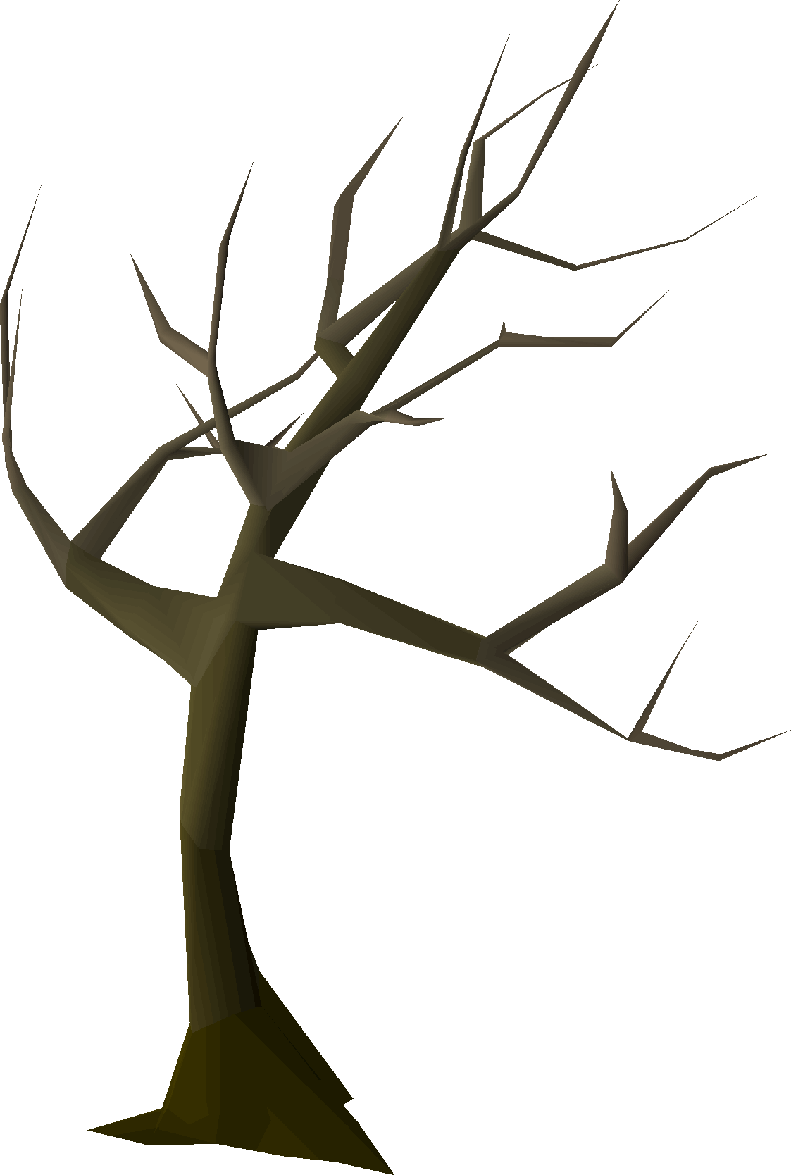 Windswept tree