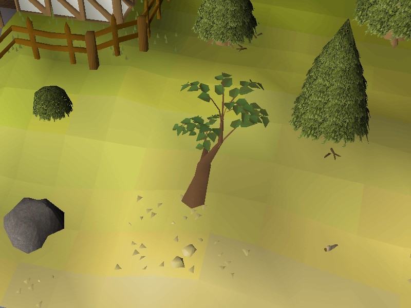 Crossbow Tree