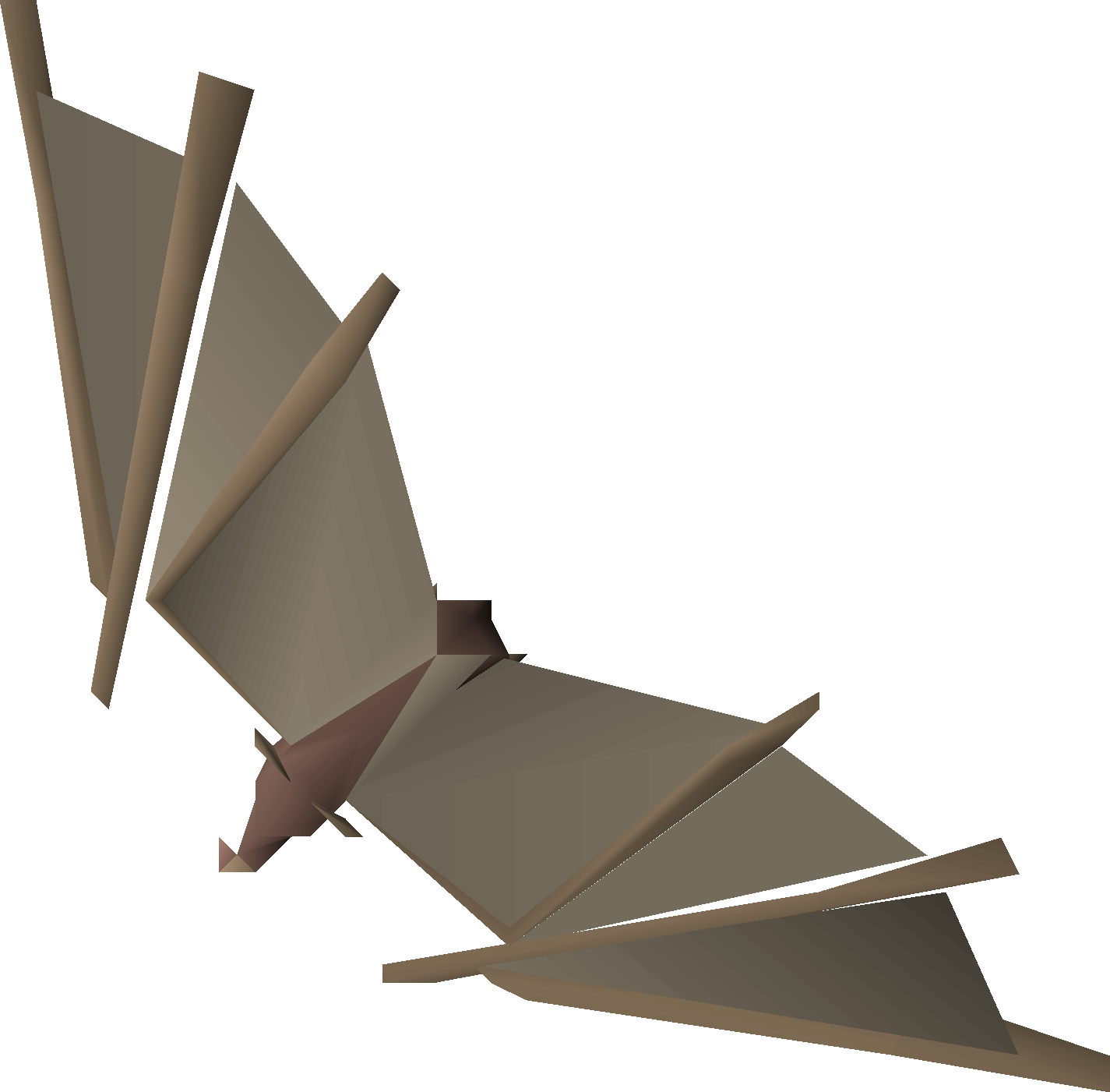 Raw giral bat (2)