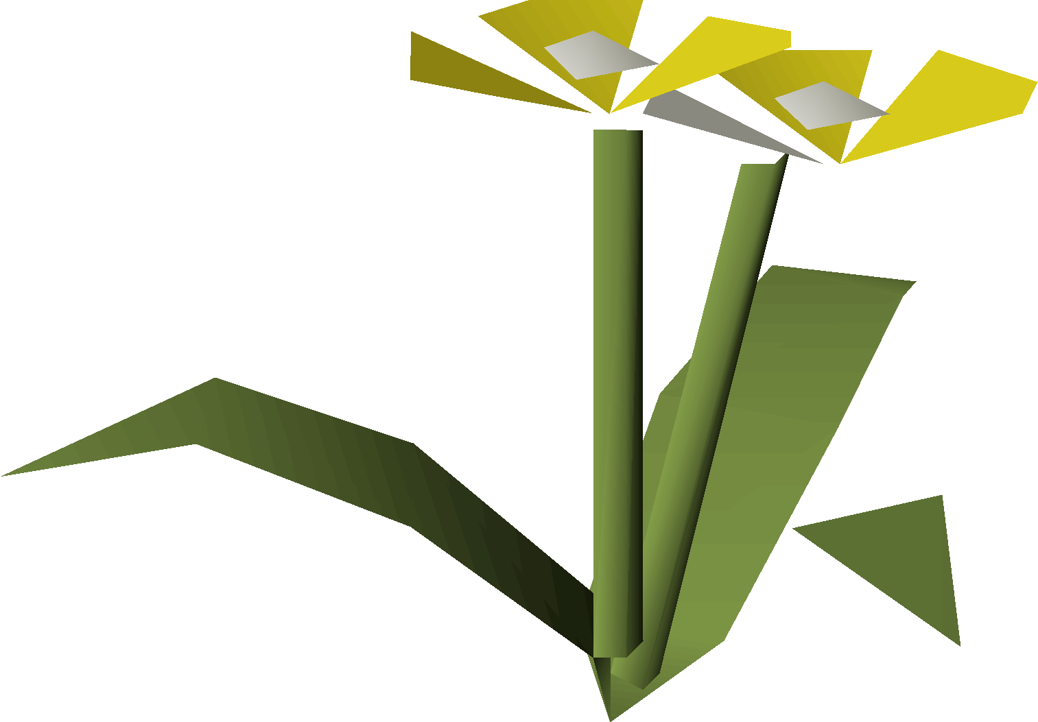 Yellow flowers (2024 Pride event)