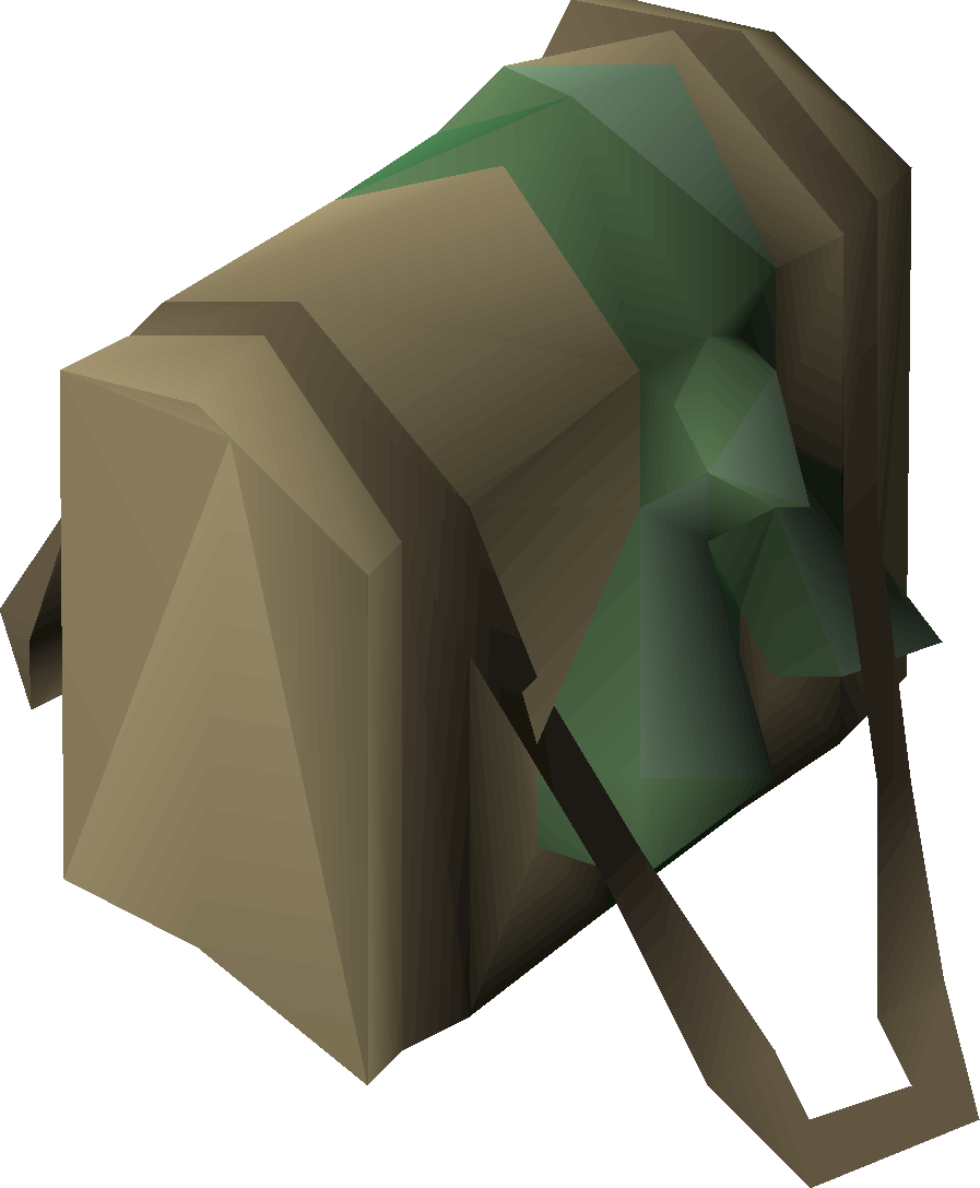 Green satchel