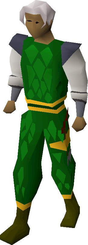 Green d'hide gold-trimmed armour