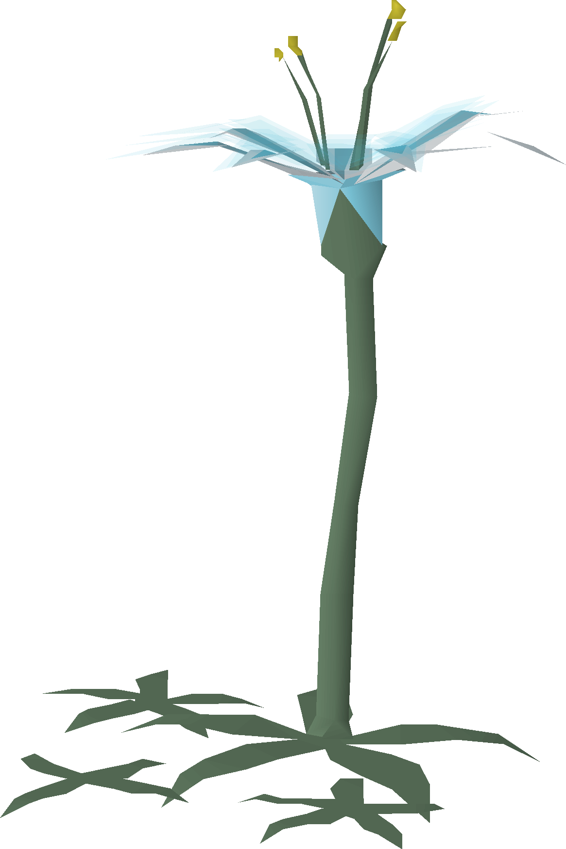 Lily
