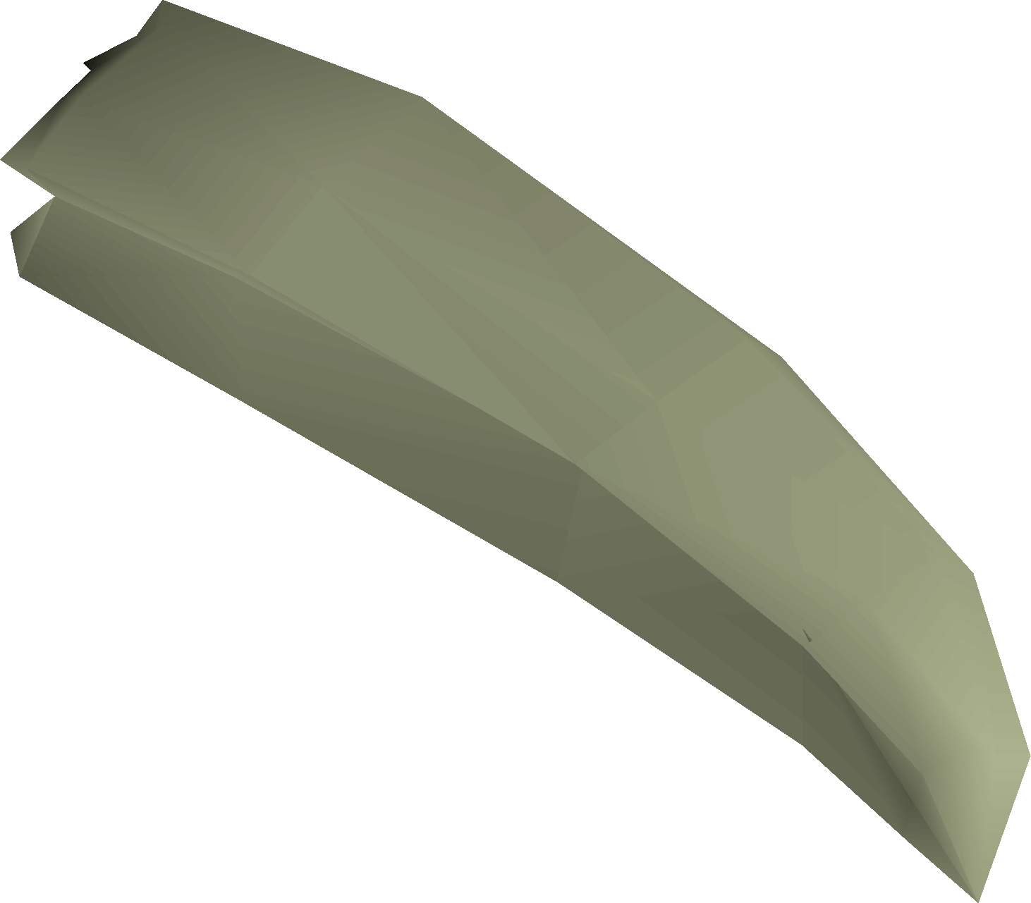Rare fossilised tusk