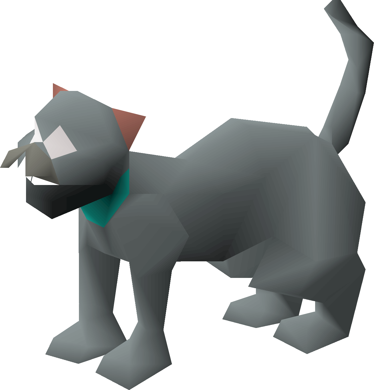 Bones (kitten)