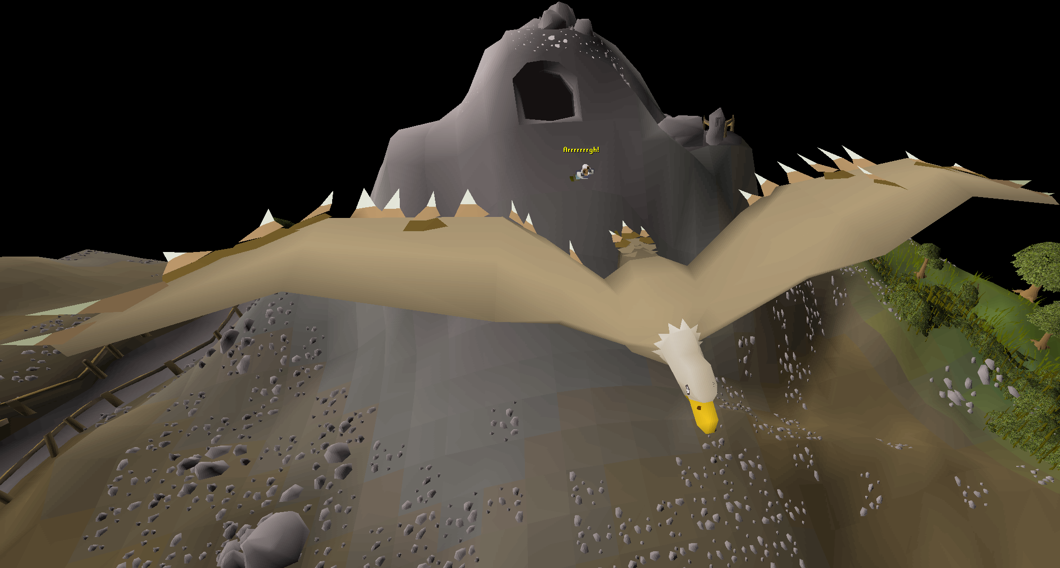 Eagle transport system