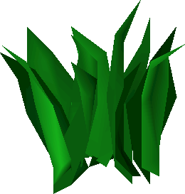 Guam leaf (plant)