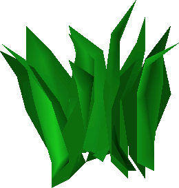 Marrentill (plant)