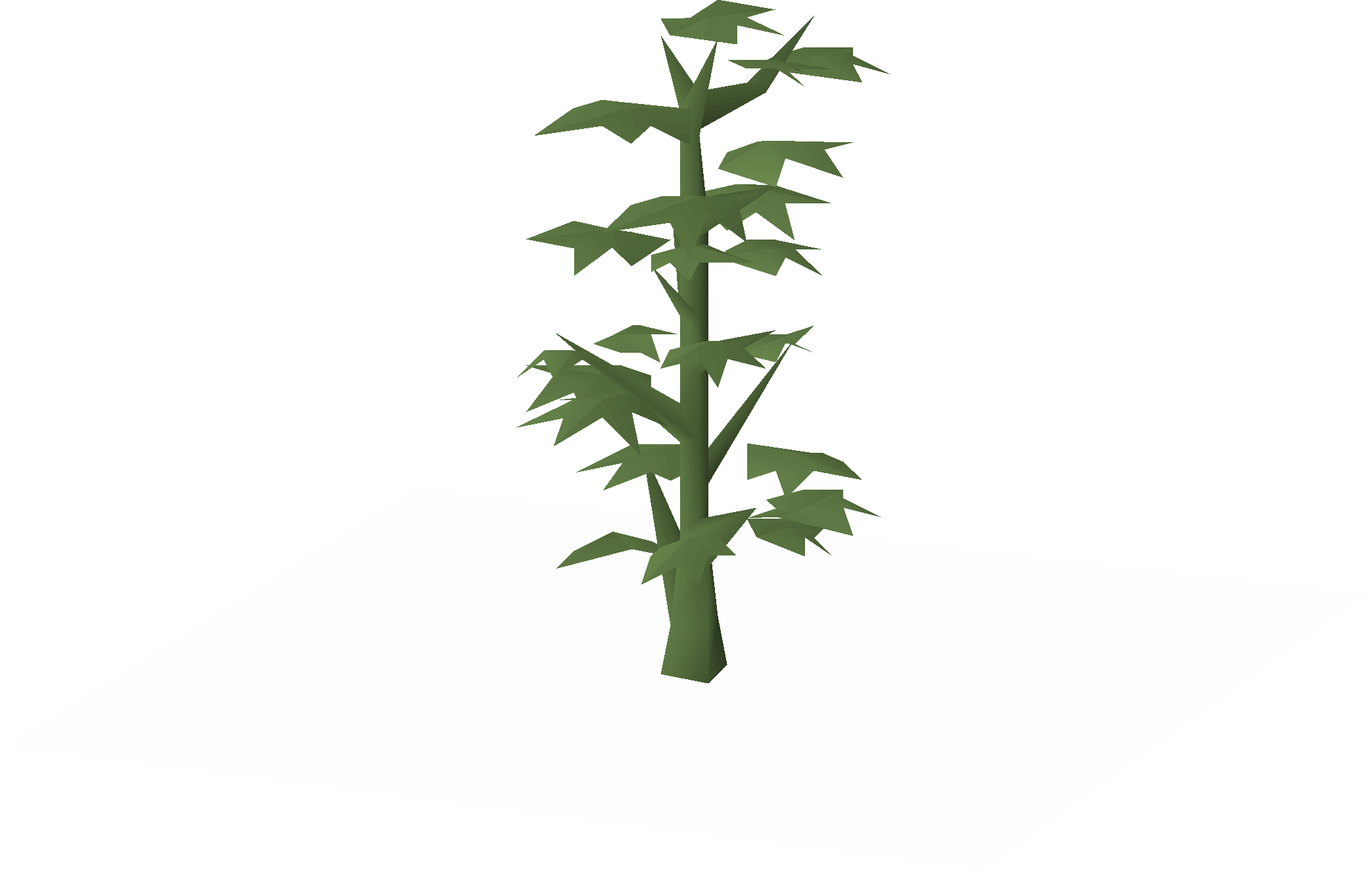 Cotton (Farming)