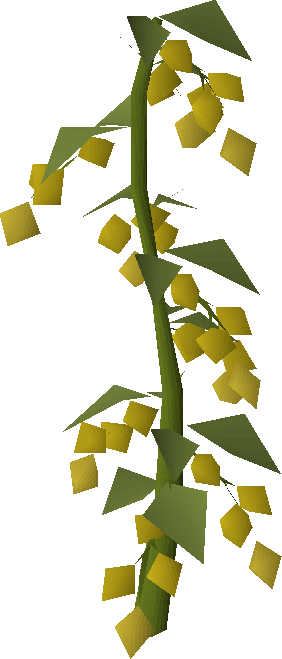 Money making guide/Farming Yanillian hops