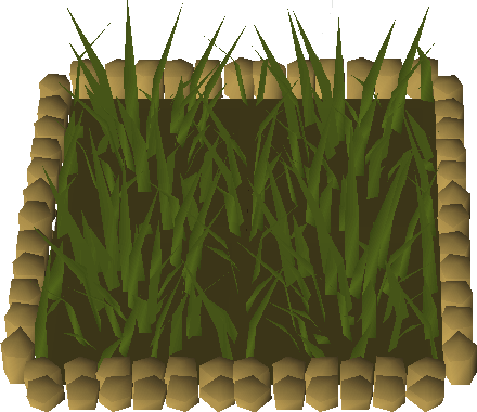 Weedy patch