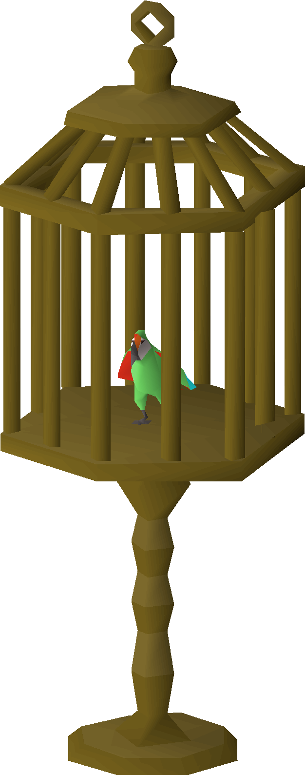 Rio the Parrot