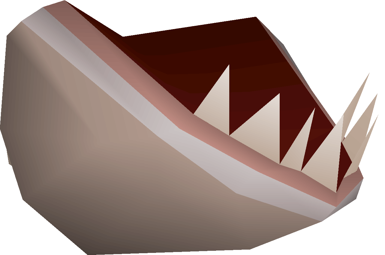 Tiger shark jaw