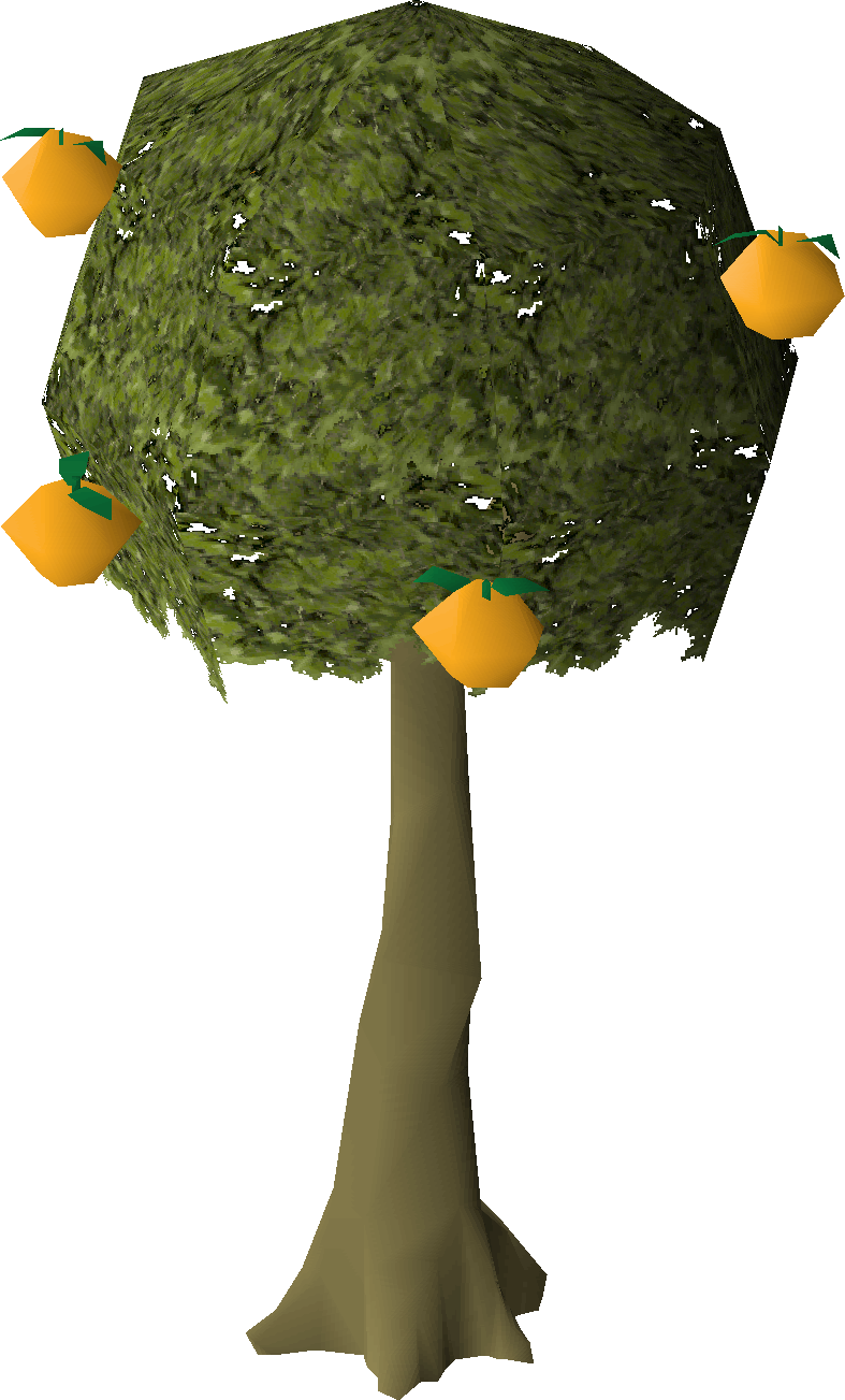 Orange tree