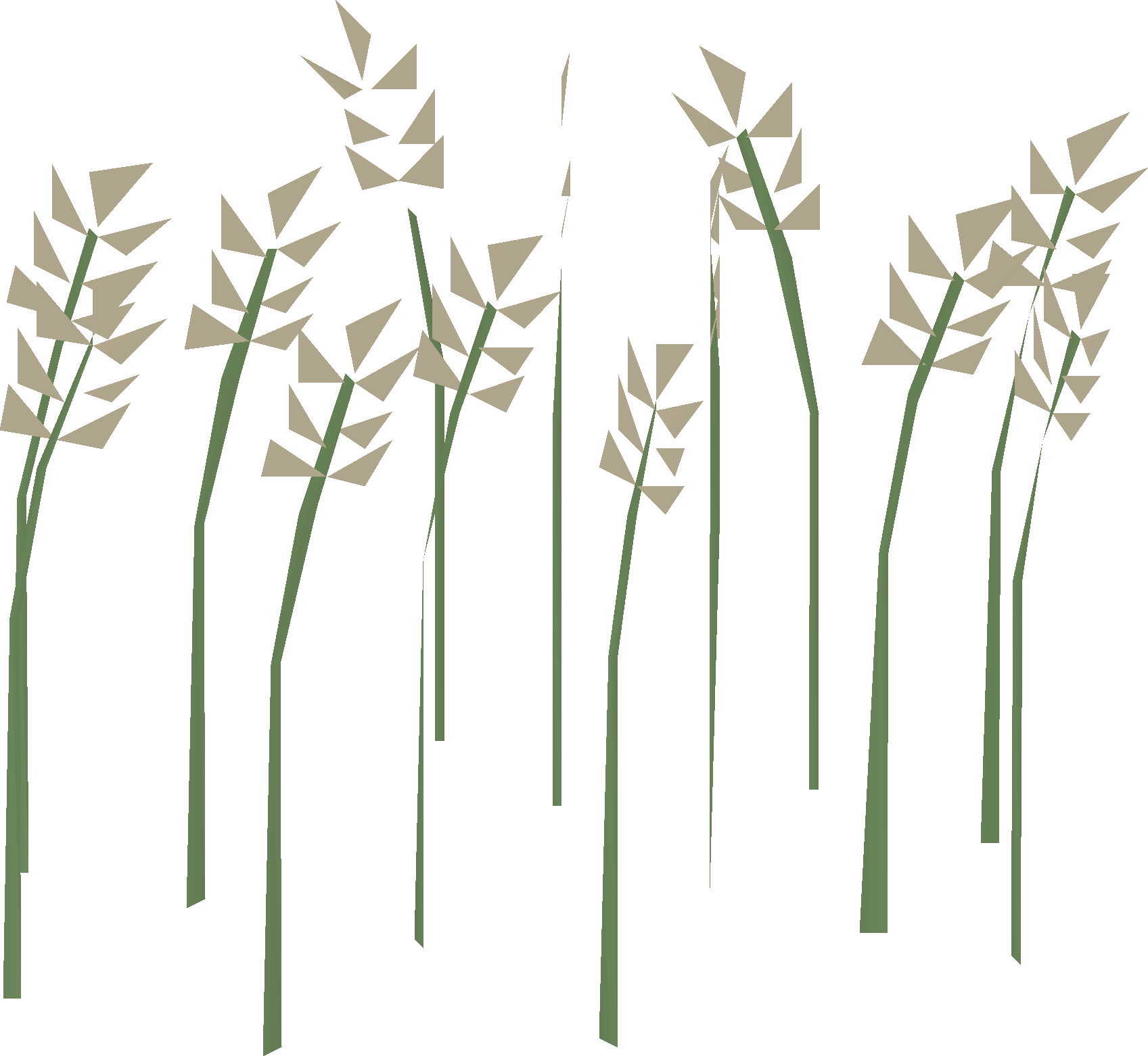 Wheat