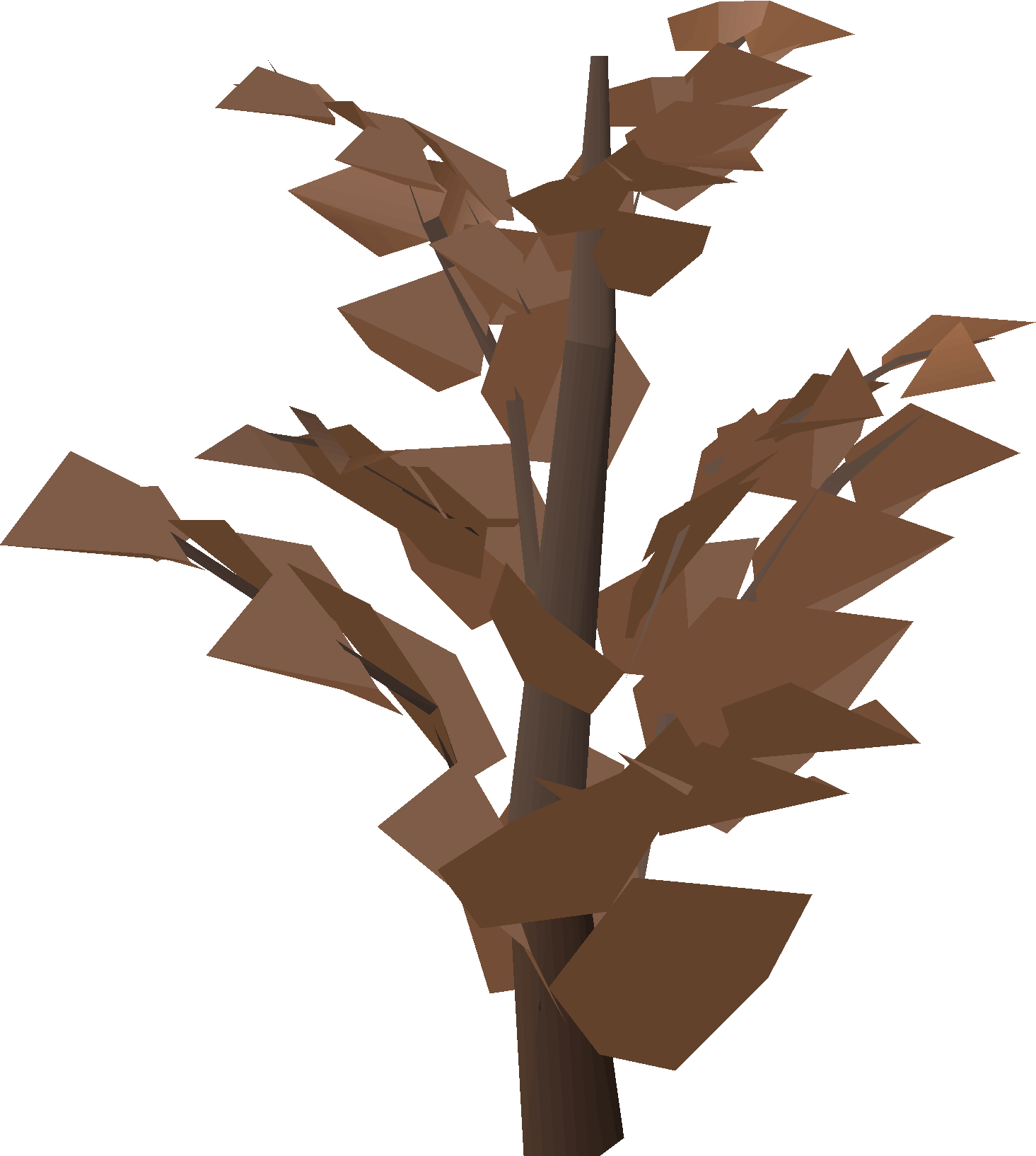 Rough-looking bush