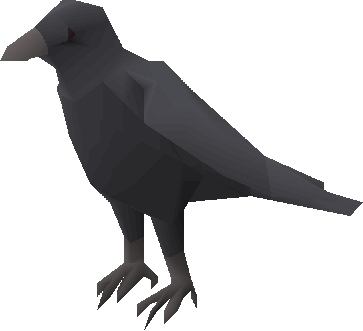 Raven