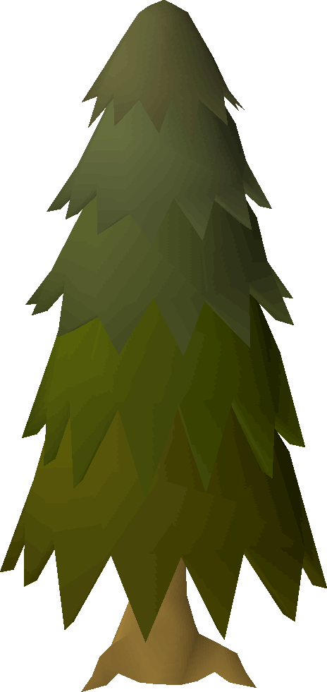 Arctic pine tree