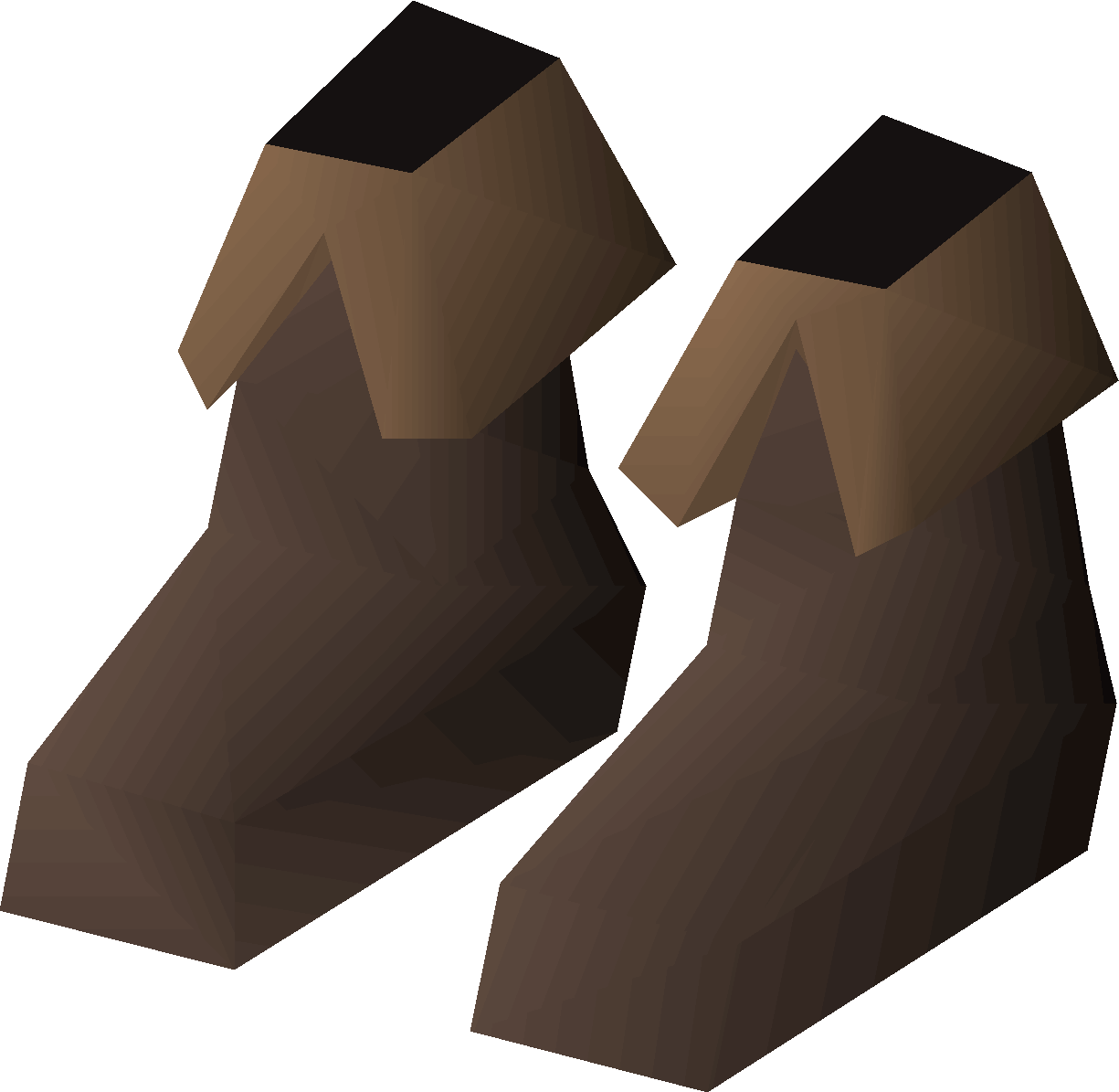 Swamp cruiser's shoes