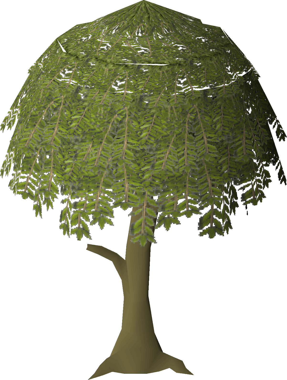 Willow tree