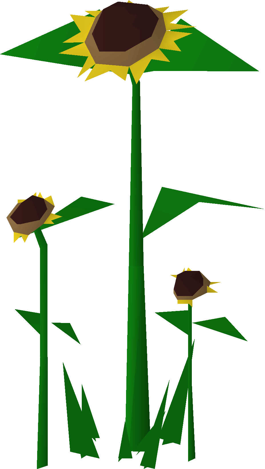 Sunflowers (2024 Christmas event)