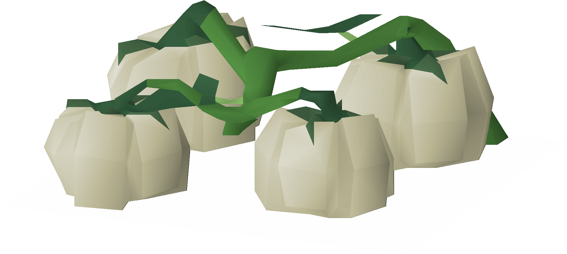White pumpkins (2024 Halloween event)