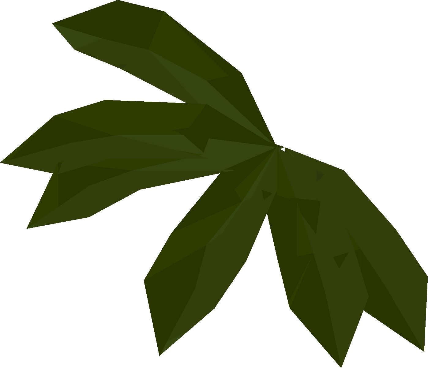 Kelp