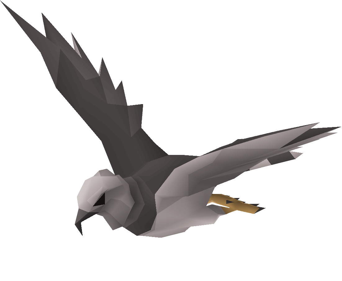 Harpy eagle
