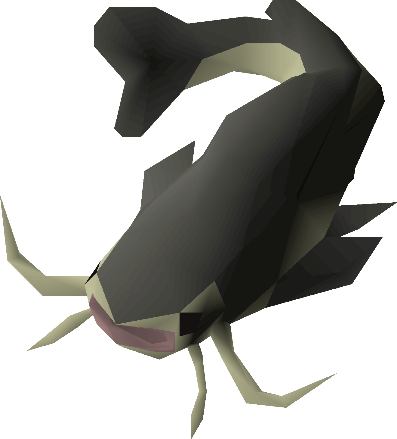 Raw catfish