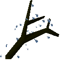 Dramen branch
