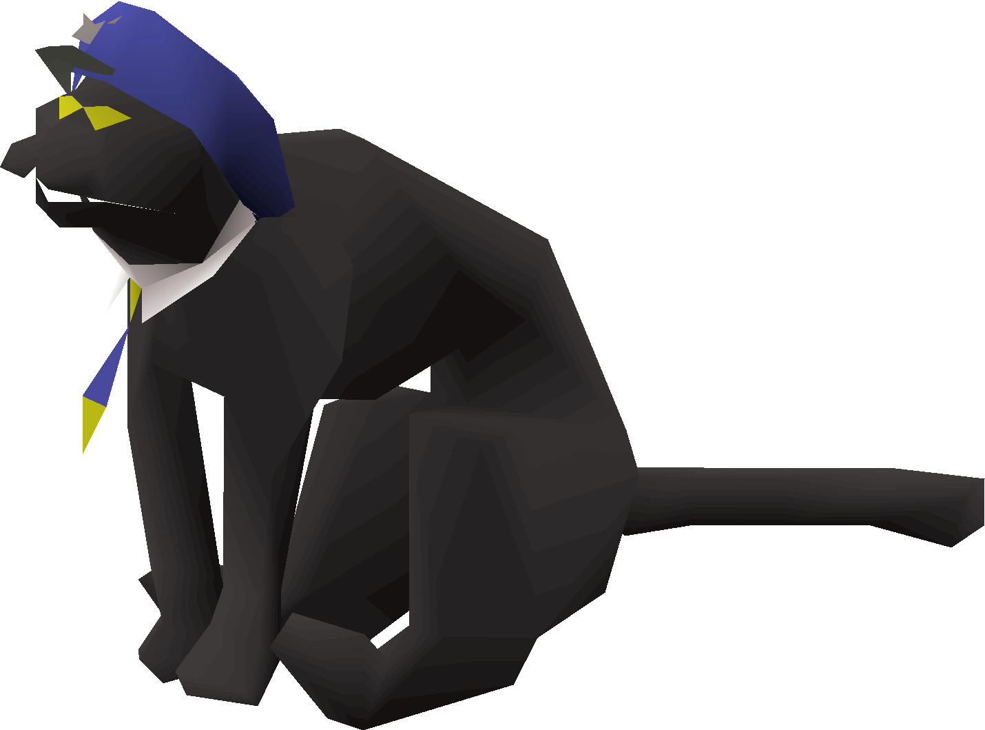 Sailing cat