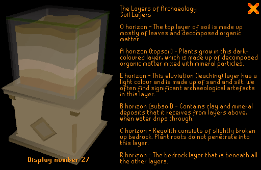 The display when studied.
