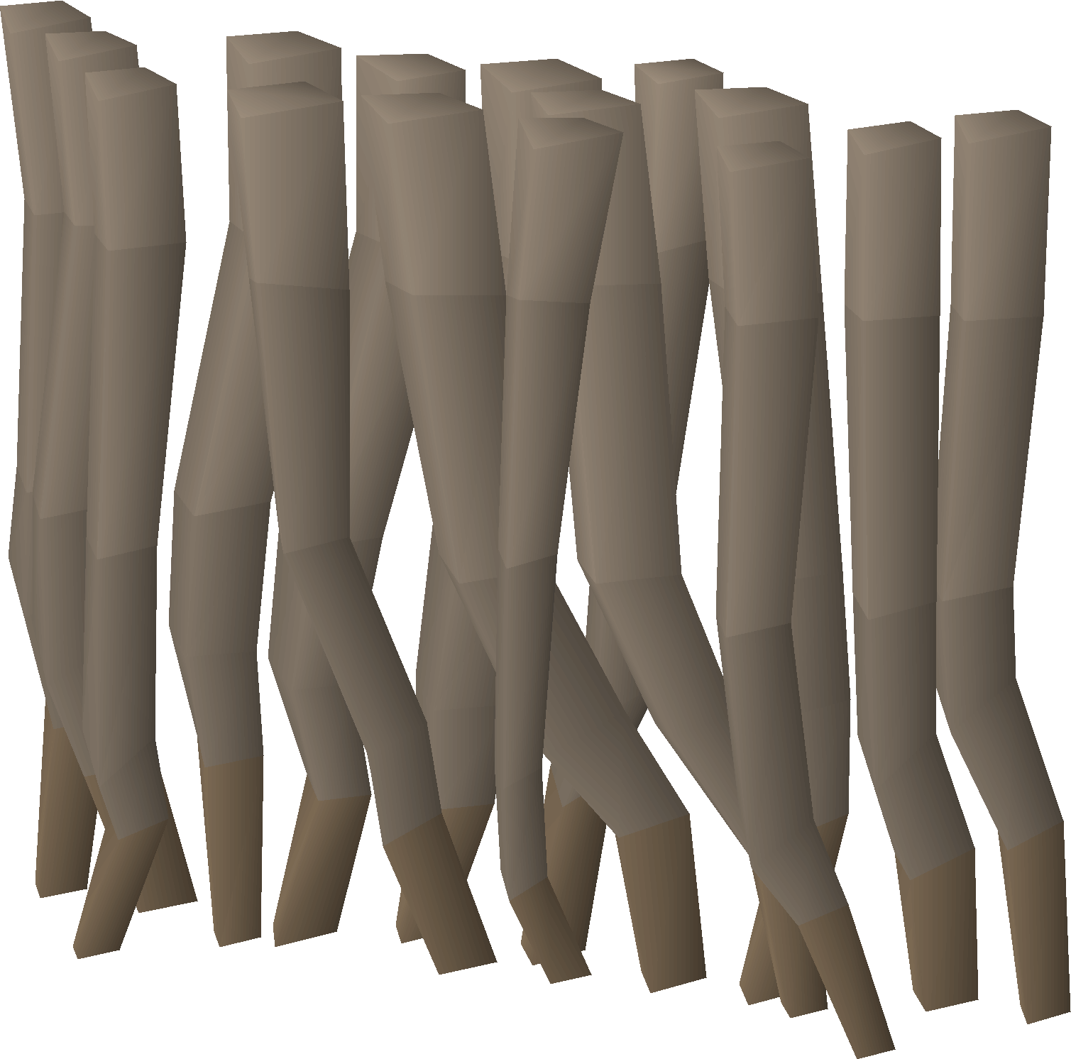Warped tree roots