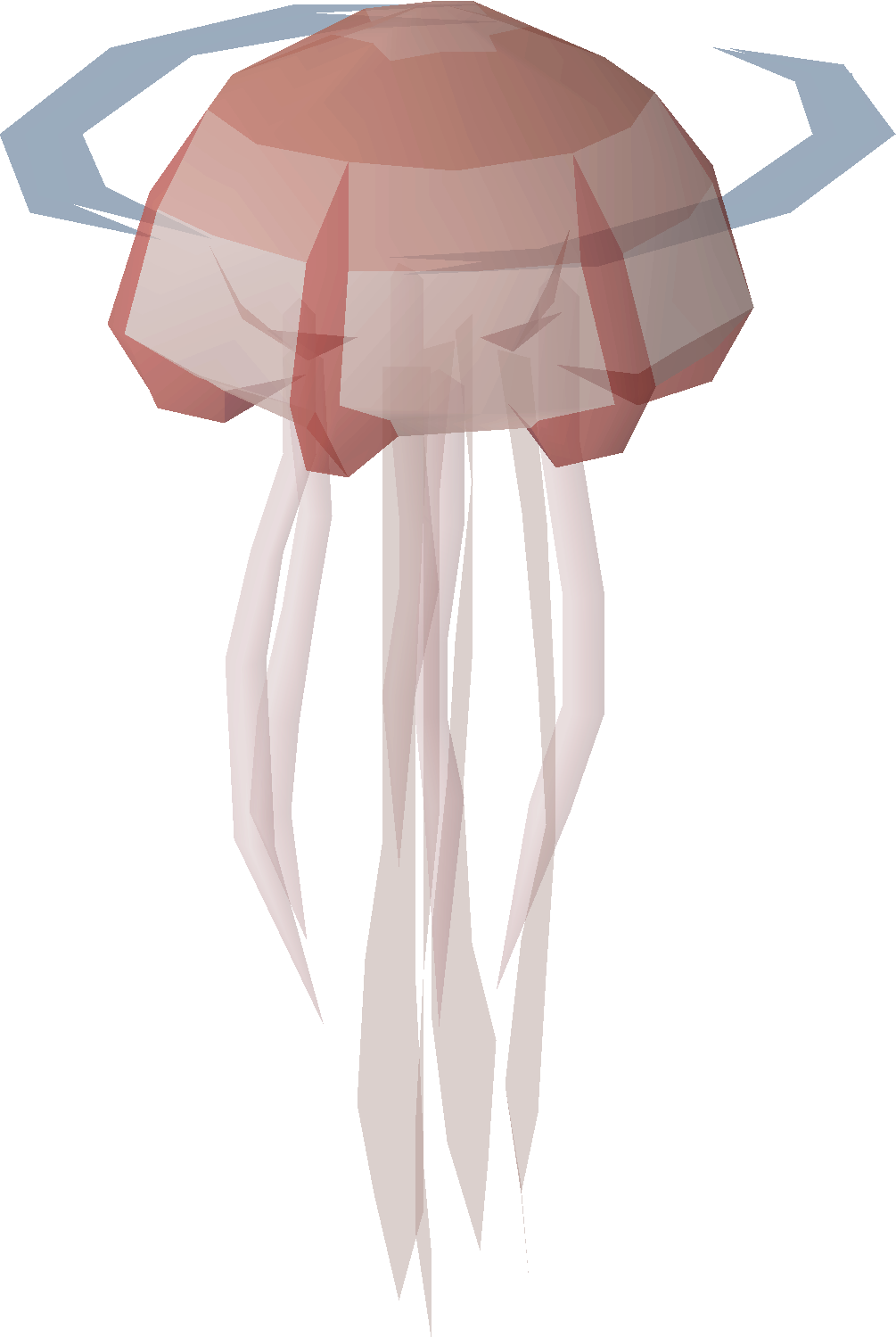Jellyfish