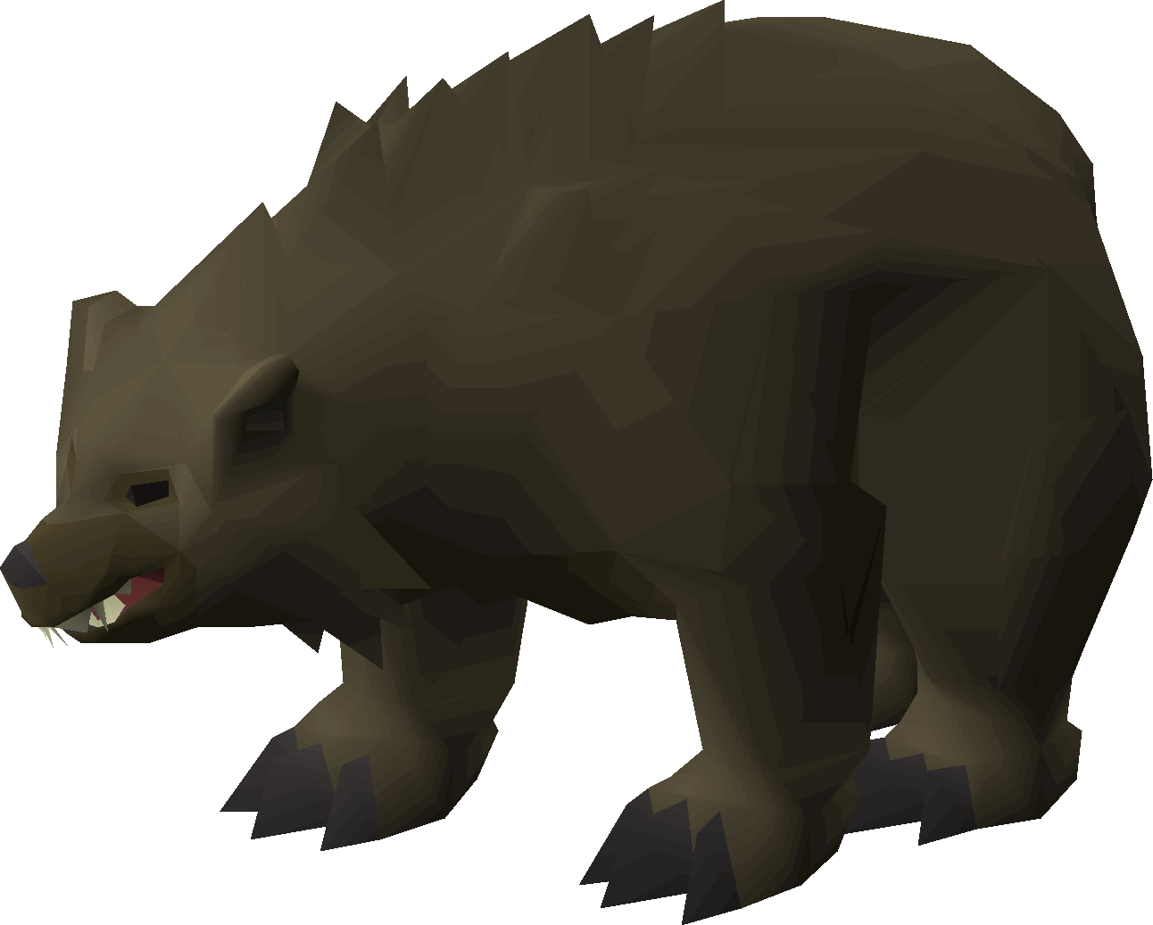Grizzly bear