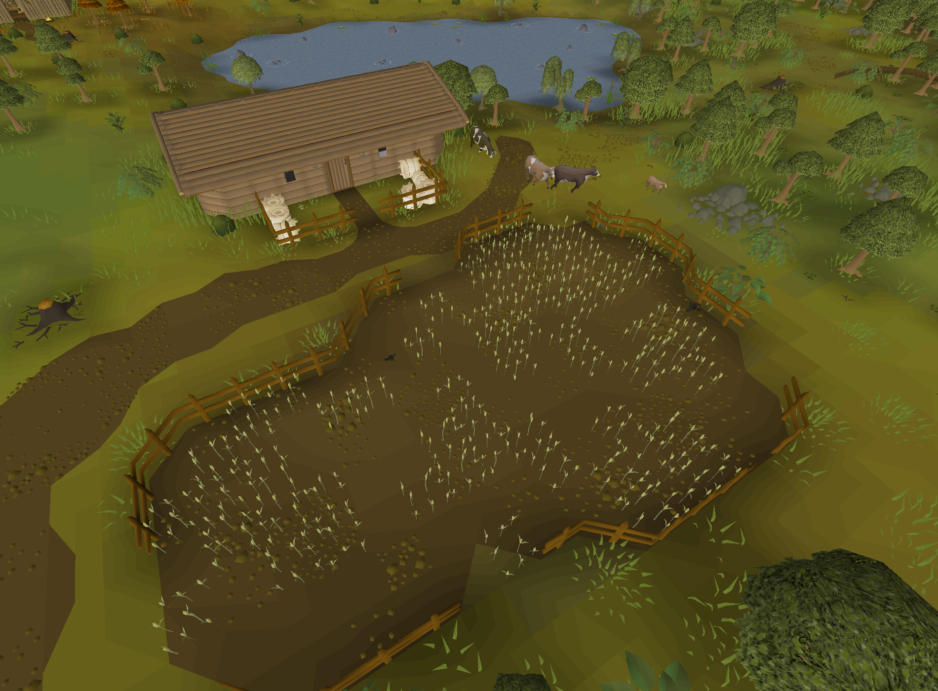 Keith's farm