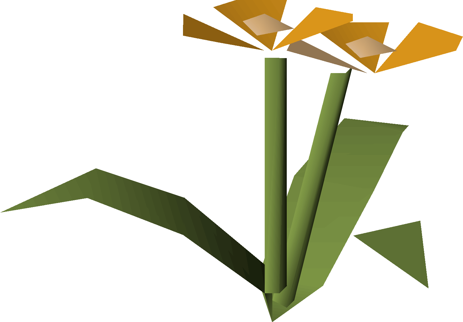Orange flowers (2024 Pride event)