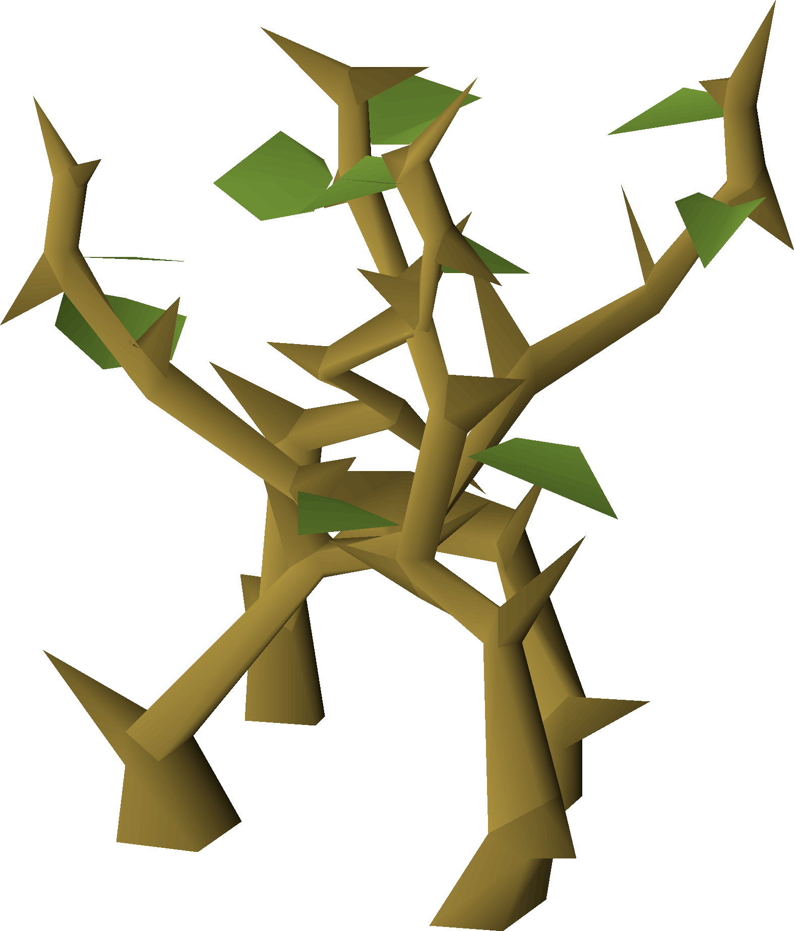 Medium Jungle