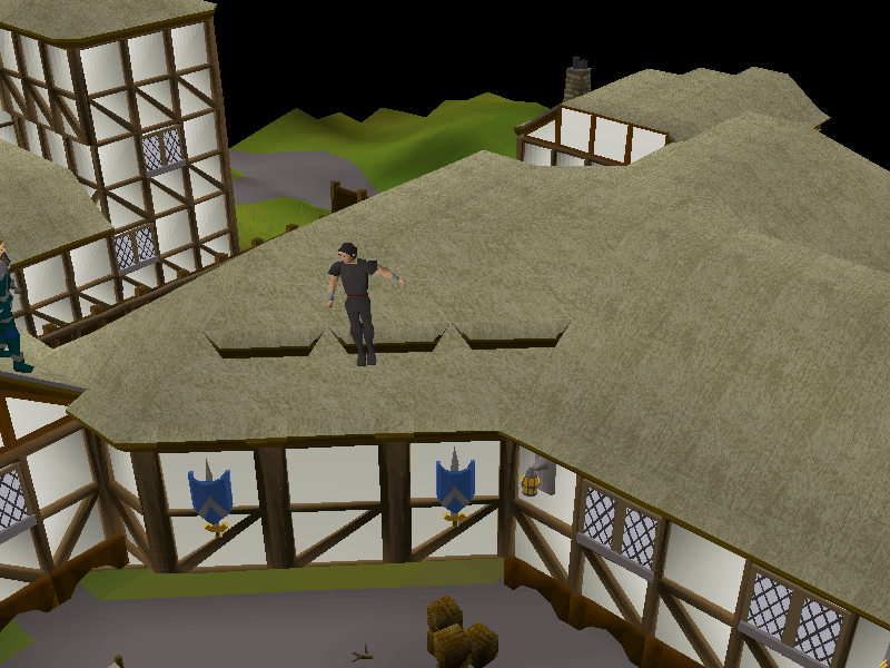 Ardougne Rooftop Course