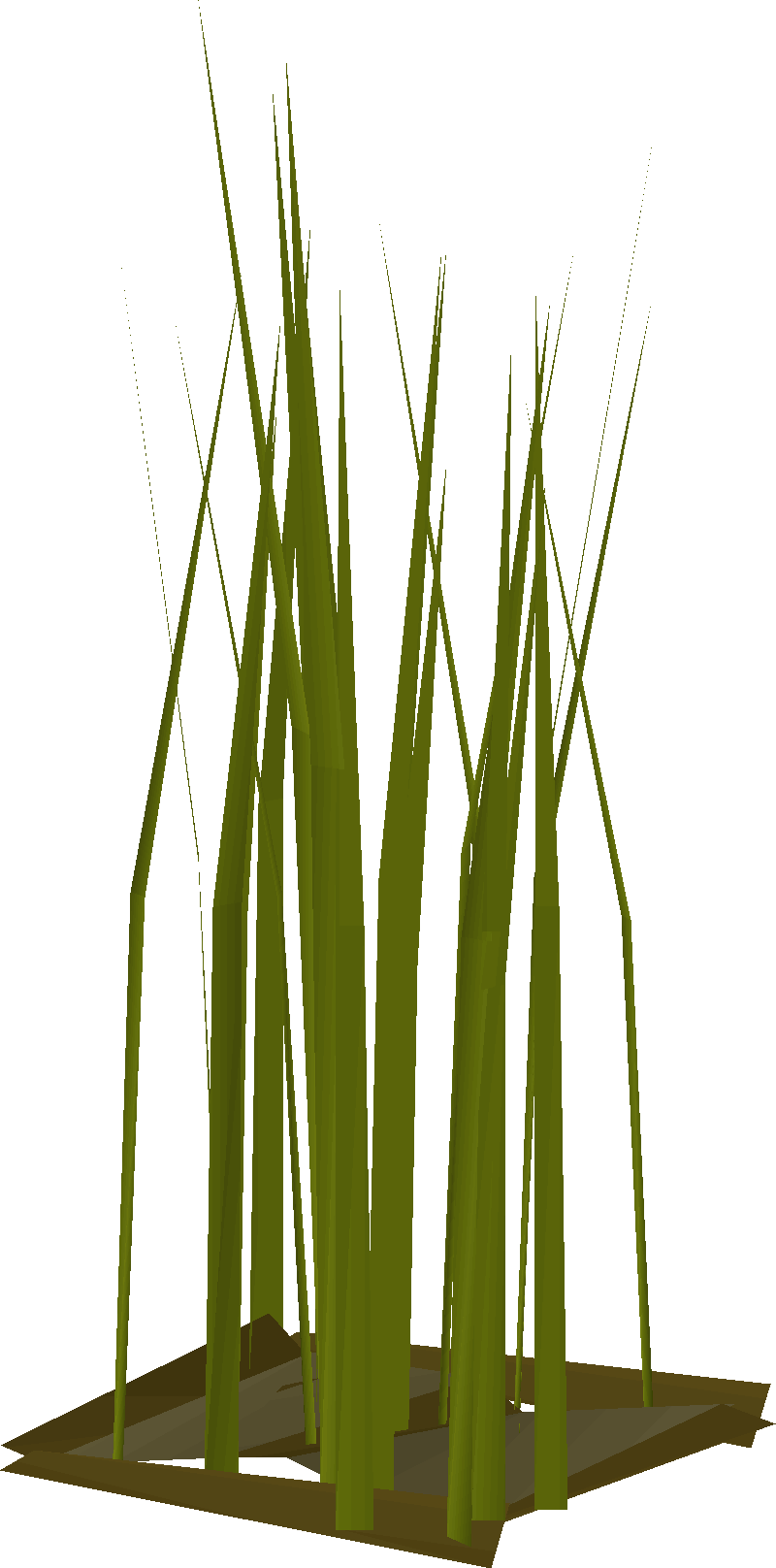 Jungle Grass (Kruk's Dungeon Entrance)