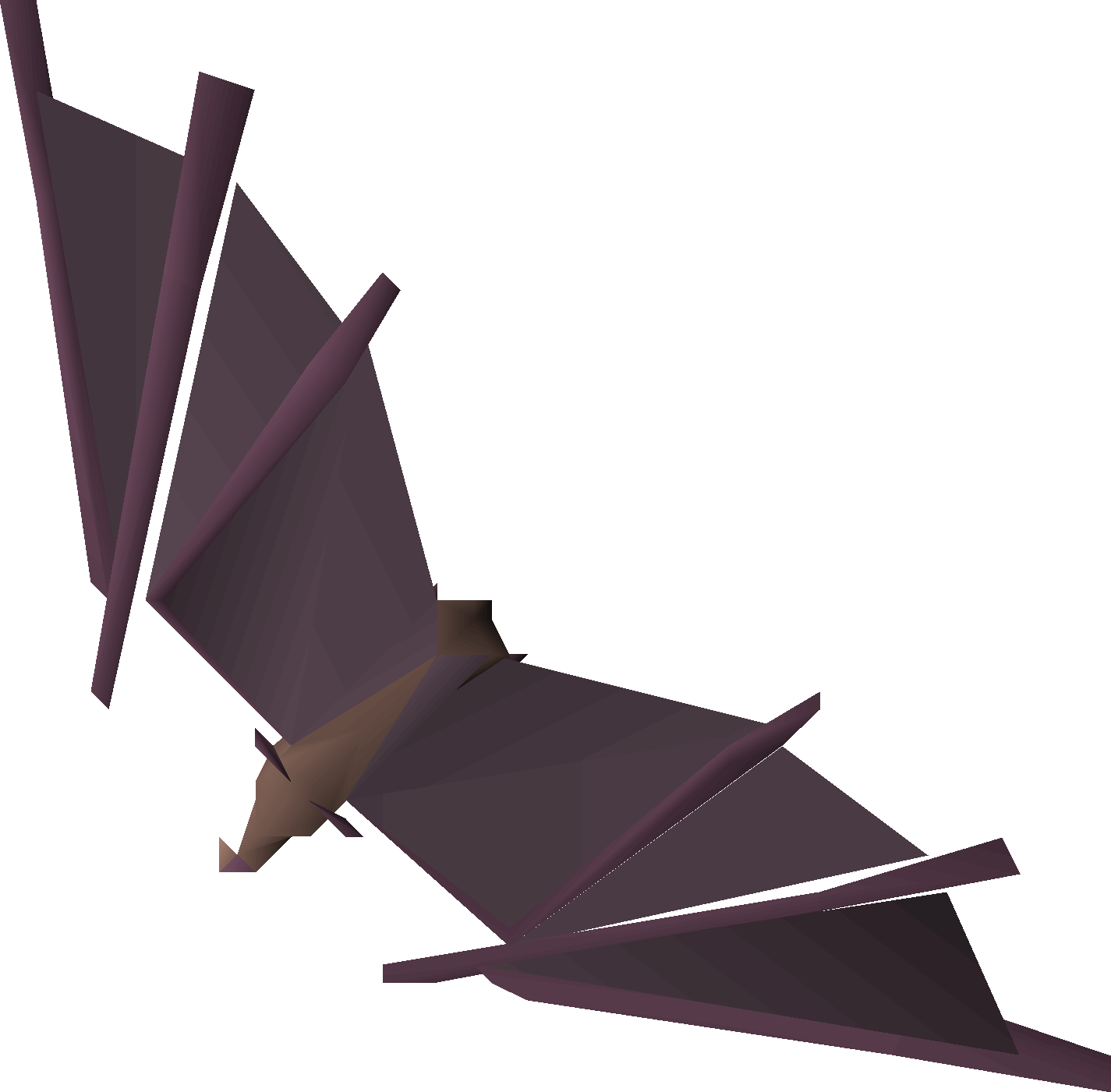 Phluxia bat (3)
