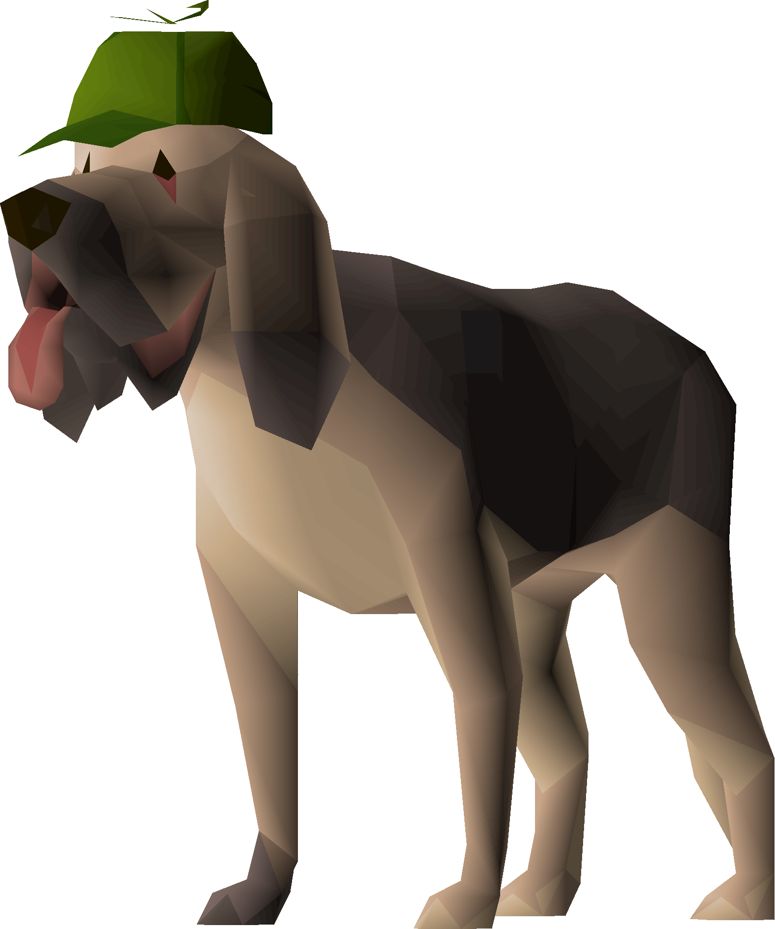 Bloodhound