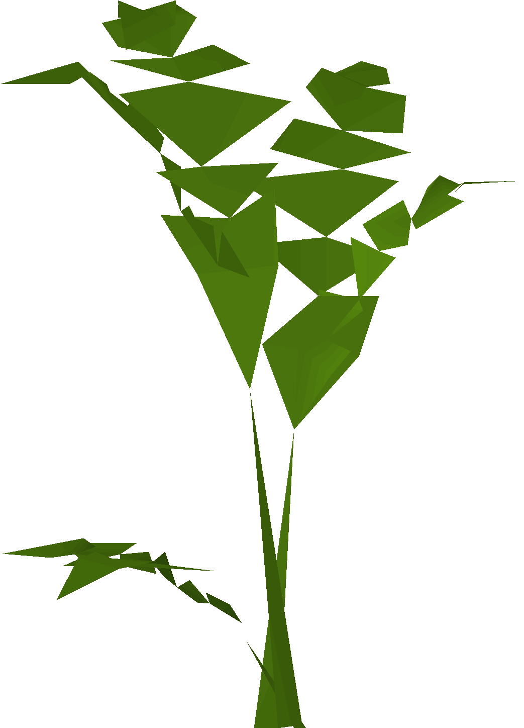 Plant (Scrambled!)