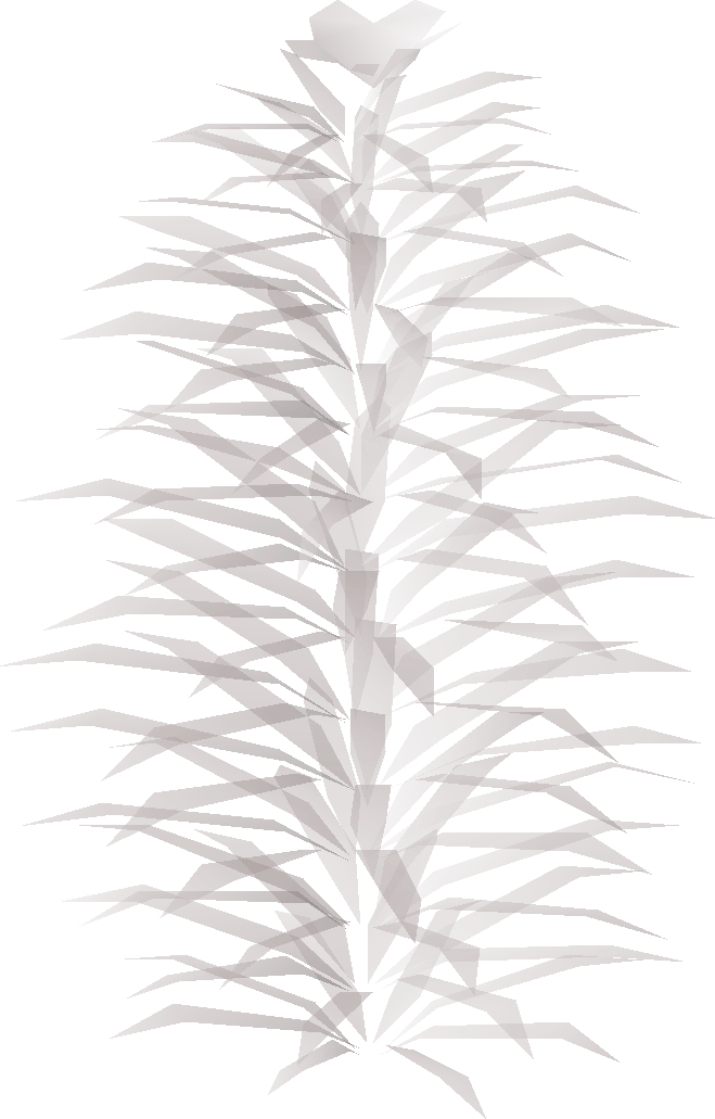 Big plant 2