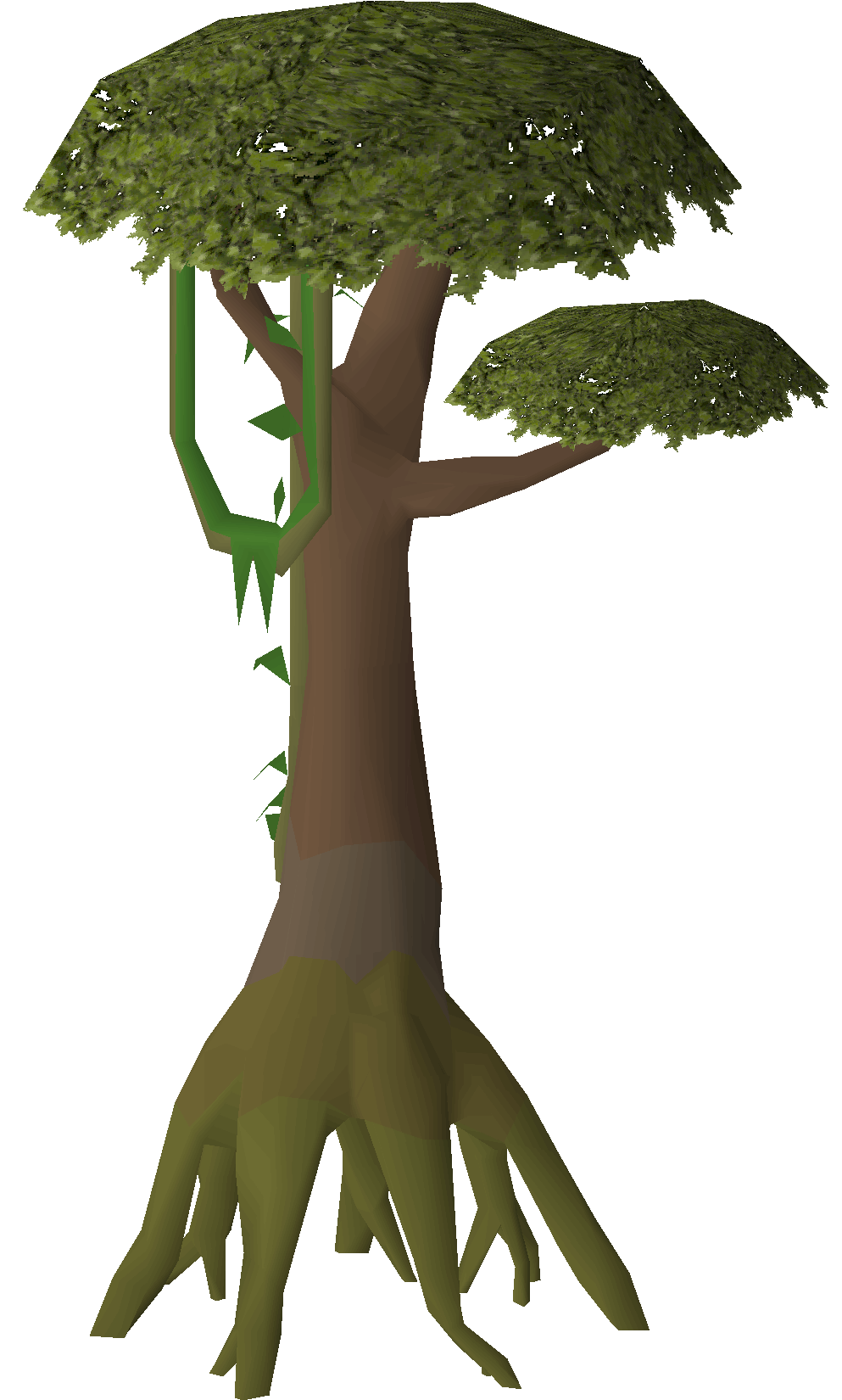 Tropical tree (Tlati Rainforest)
