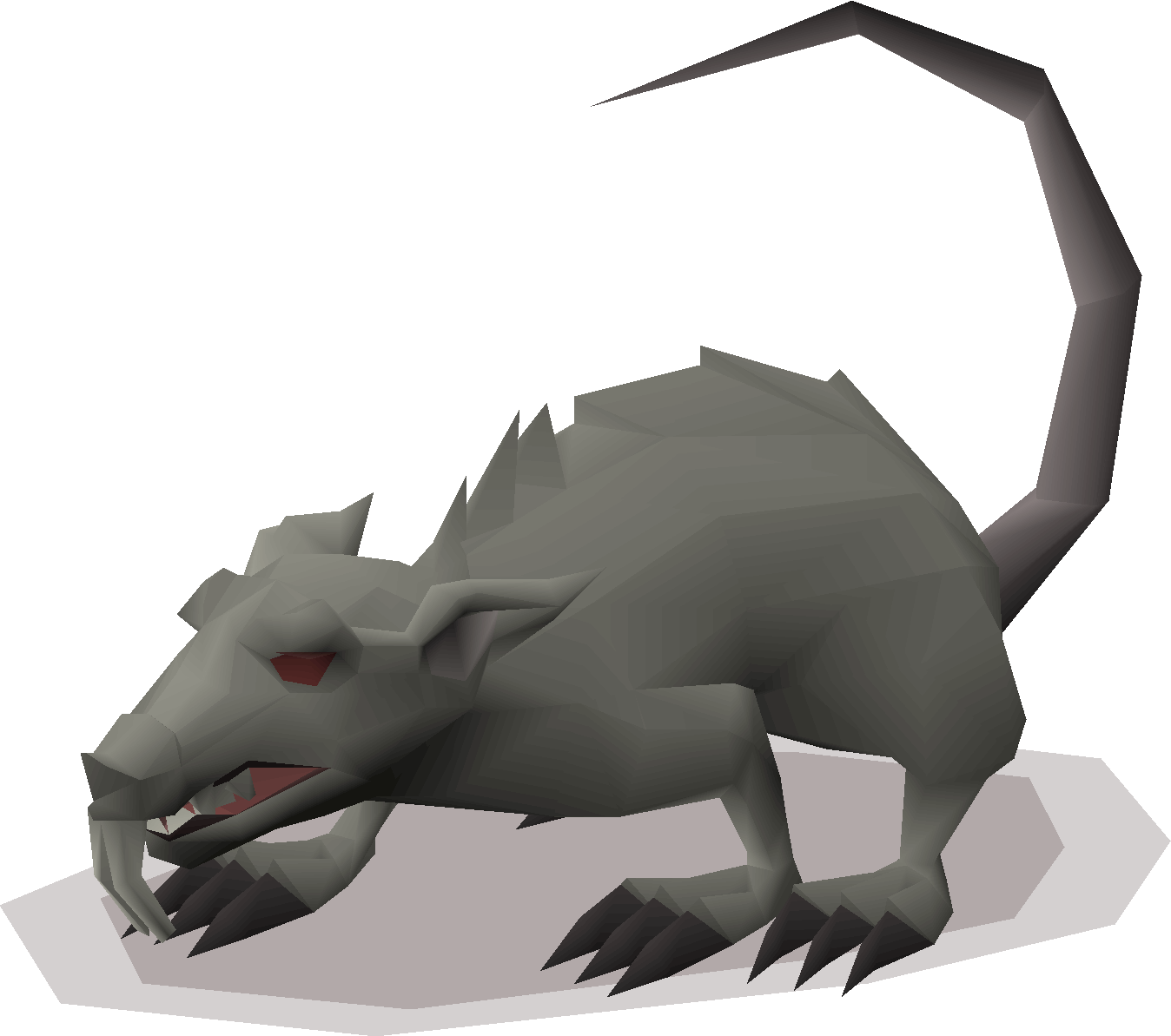 Giant rat