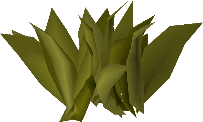 Diseased herbs (historical)