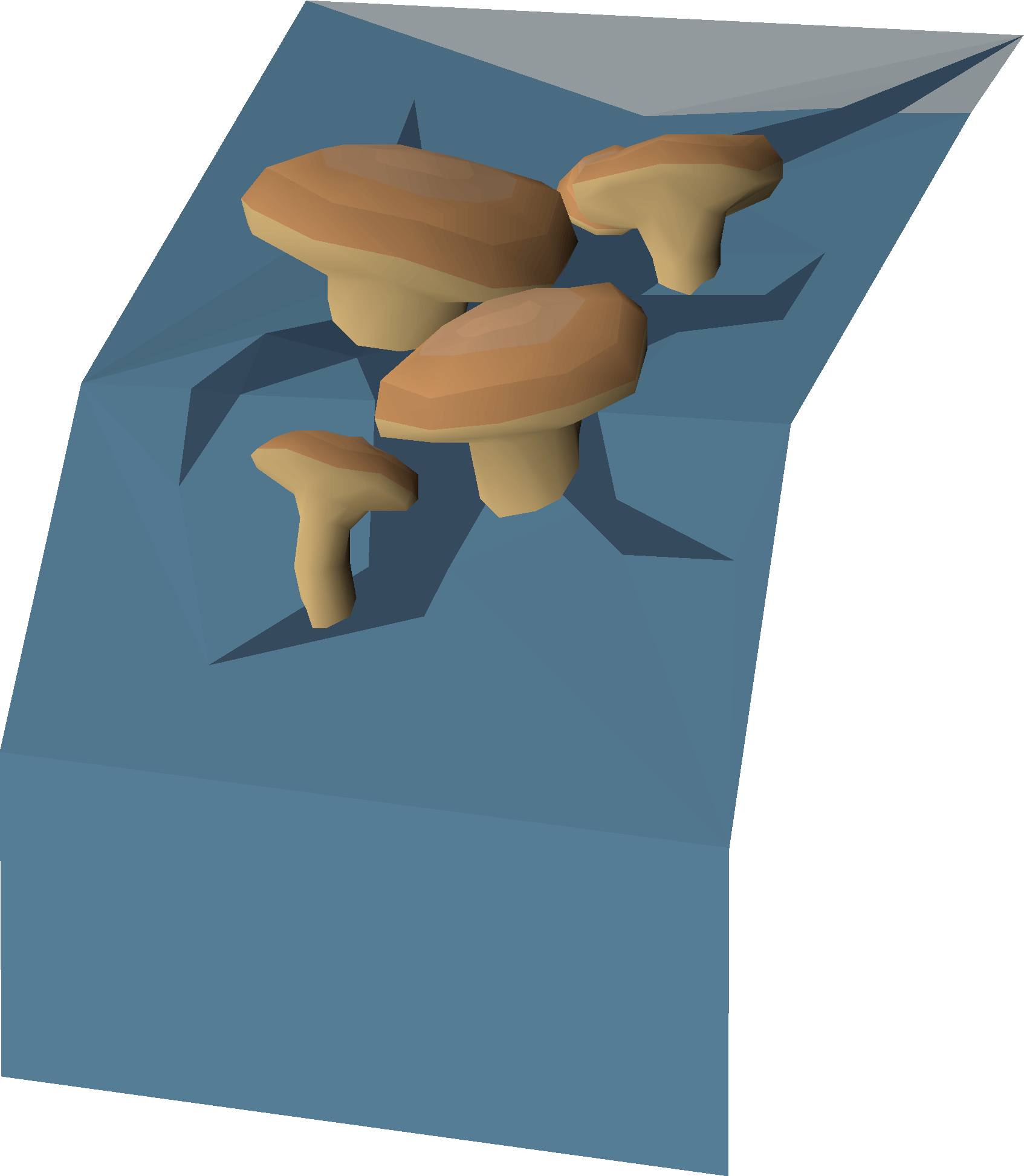 Musca mushrooms