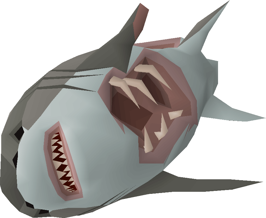 Shark corpse